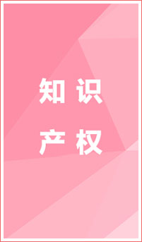 知識產(chǎn)權(quán)